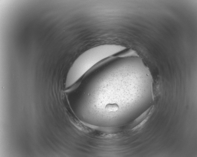 X0000062130186200512121225