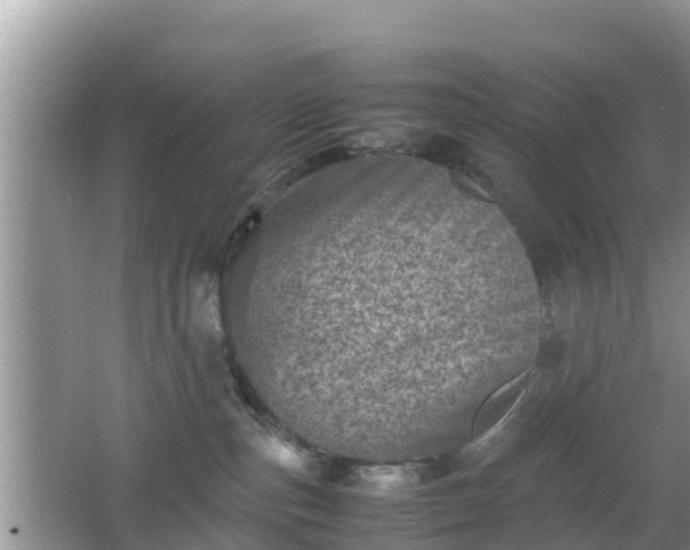 X0000062130187200512121225