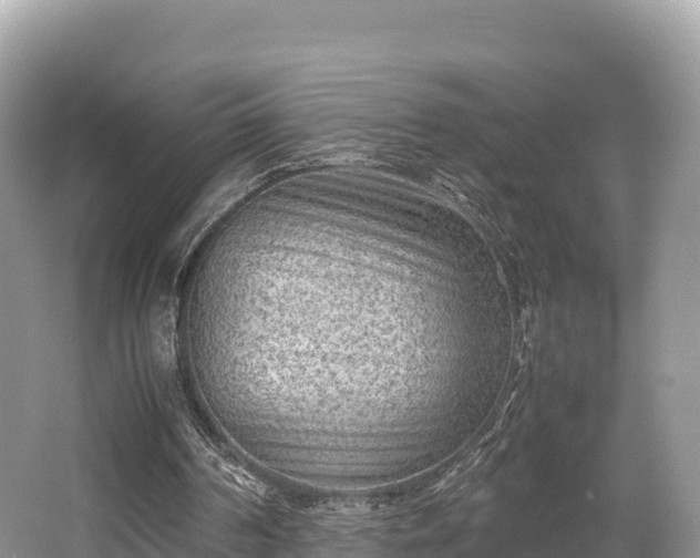 X0000062130194200512121224