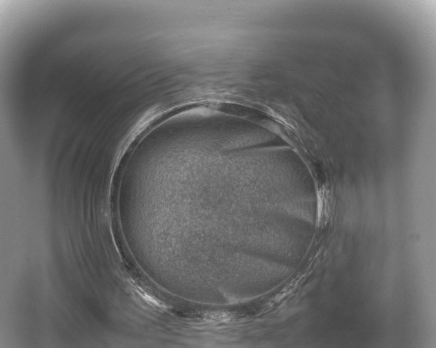 X0000062130195200512121224