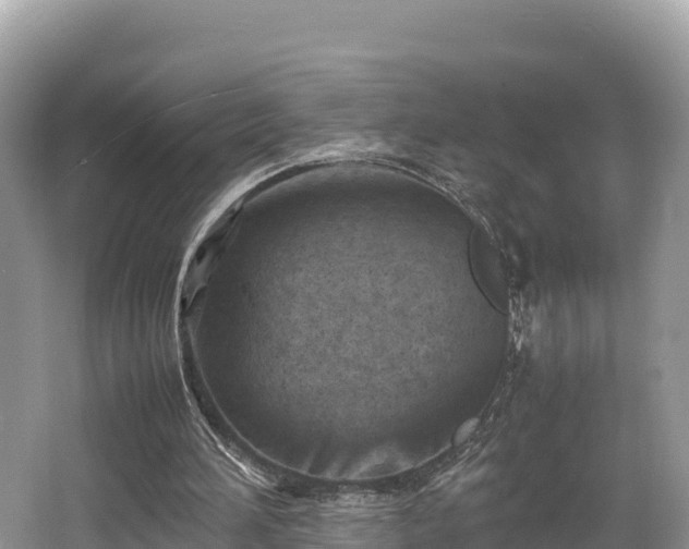 X0000062130196200512121224