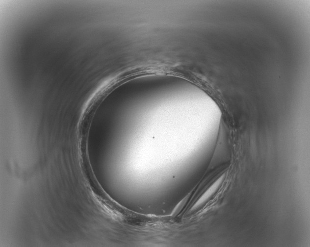 X0000062130197200512121224