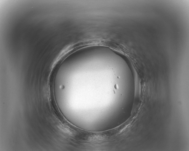 X0000062130198200512121224