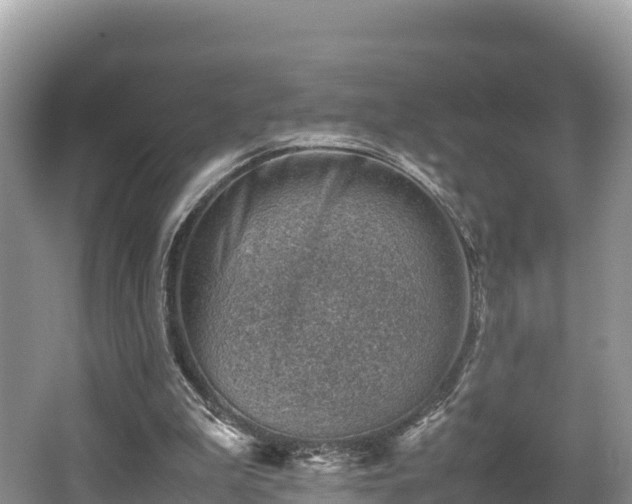 X0000062130199200512121224