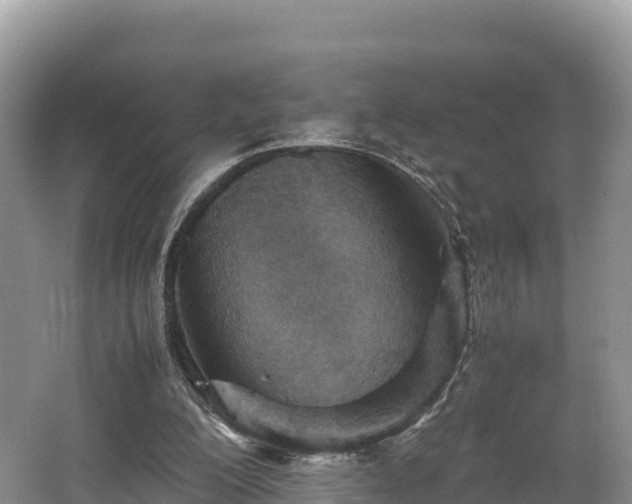 X0000062130200200512121224