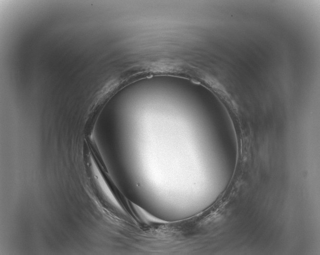 X0000062130201200512121224