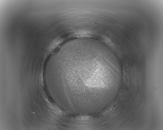 X0000062130202200512121224