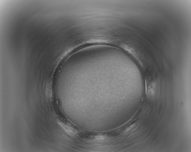 X0000062130204200512121224