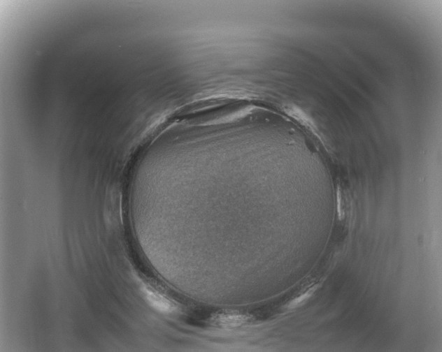 X0000062130205200512121224