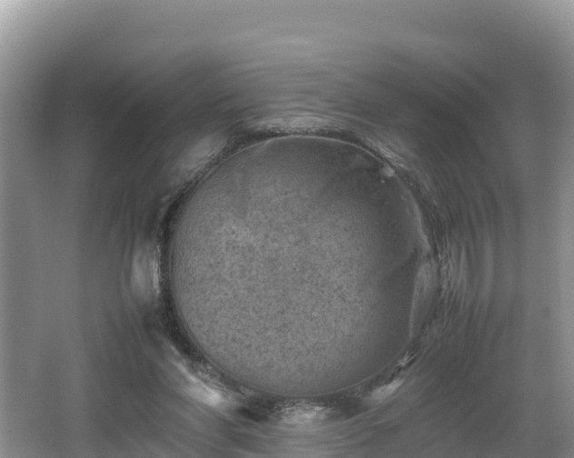 X0000062130206200512121224