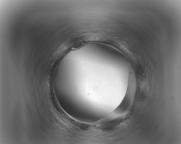 X0000062130207200512121224