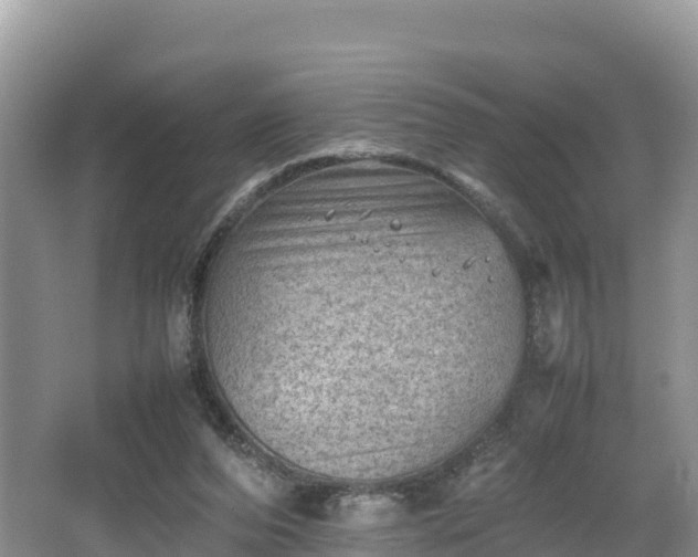 X0000062130208200512121224