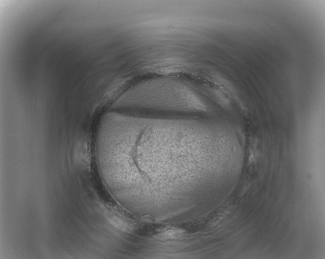 X0000062130210200512121224