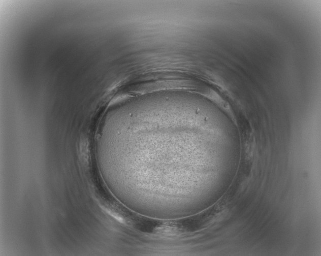 X0000062130211200512121224