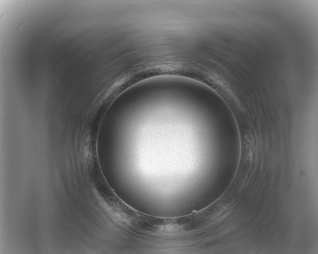 X0000062130212200512121224