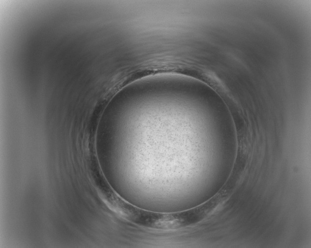 X0000062130213200512121224