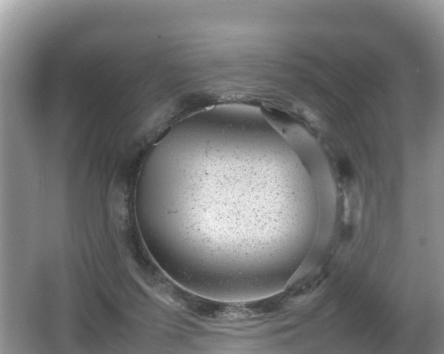 X0000062130215200512121224