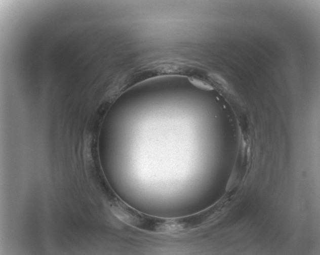 X0000062130217200512121224