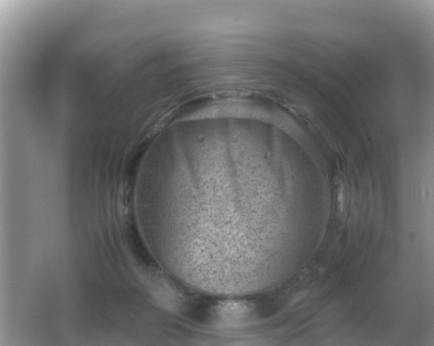 X0000062130218200512121224