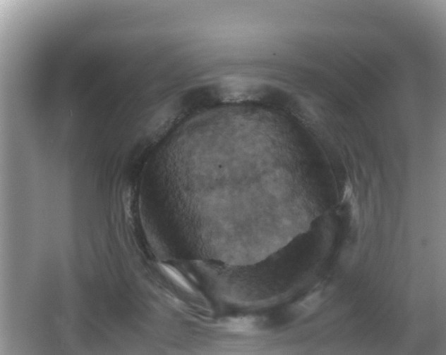 X0000062130219200512121224