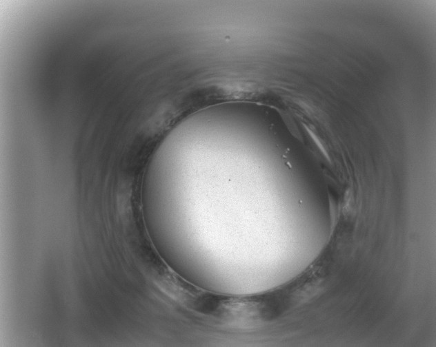 X0000062130221200512121224