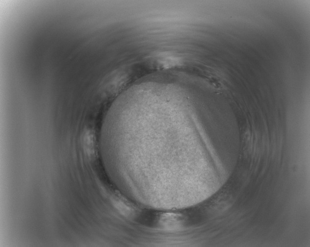 X0000062130222200512121224