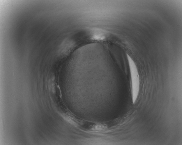 X0000062130223200512121224