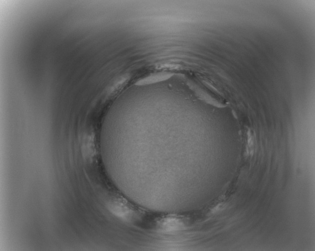 X0000062130224200512121224