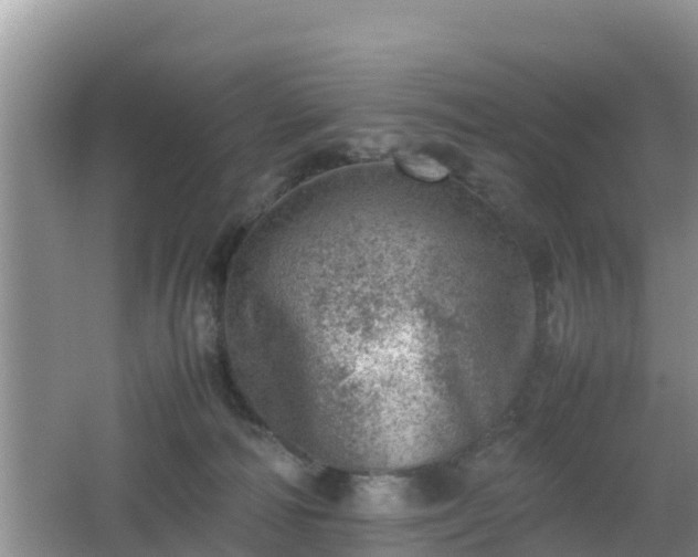 X0000062130226200512121224