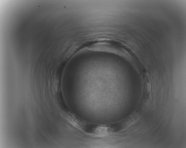 X0000062130227200512121224