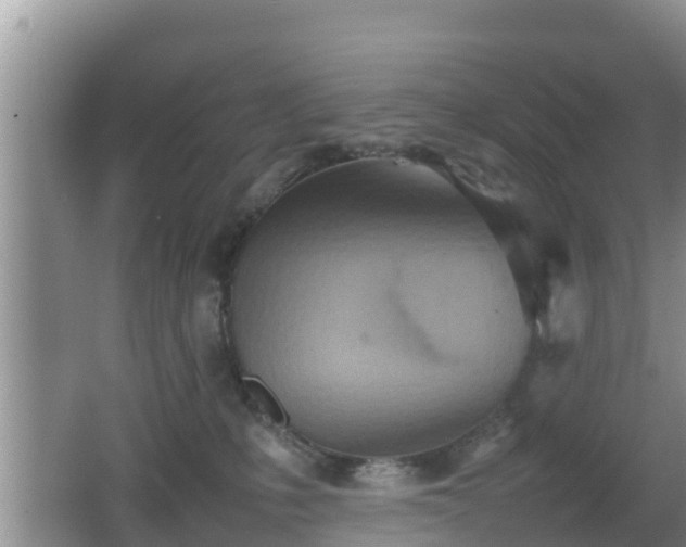 X0000062130231200512121223