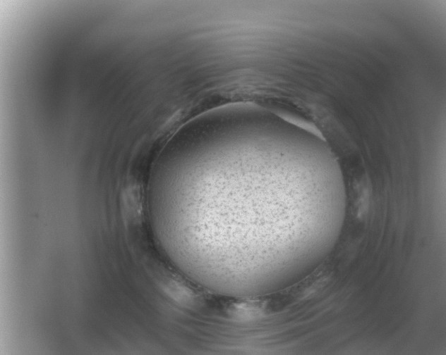 X0000062130232200512121223