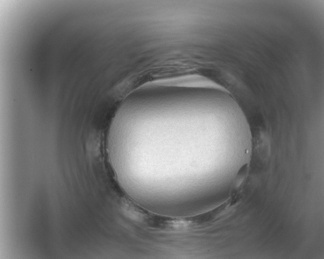 X0000062130233200512121223