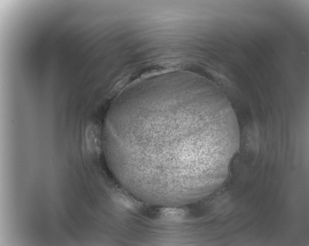 X0000062130234200512121223