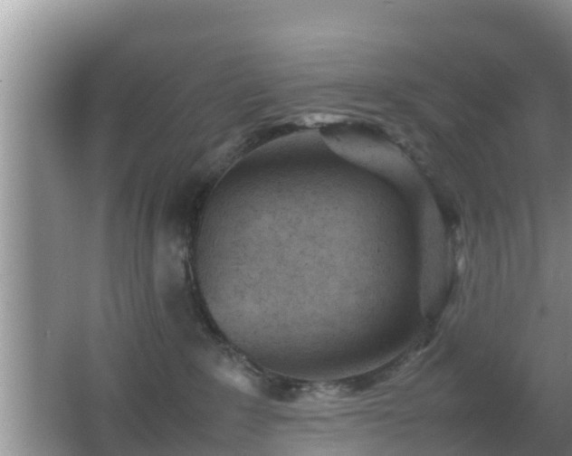 X0000062130235200512121223