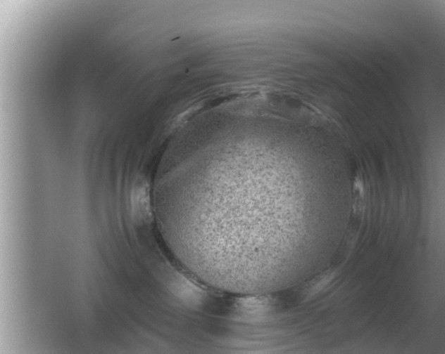 X0000062130238200512121223