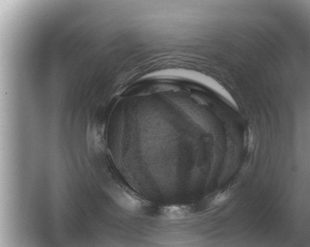 X0000062130239200512121223