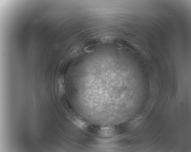 X0000062130240200512121223