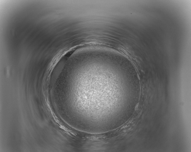 X0000062130241200512121223