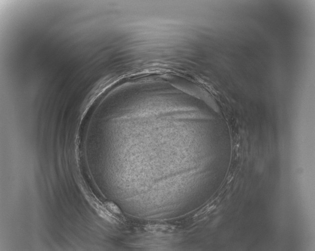 X0000062130242200512121223