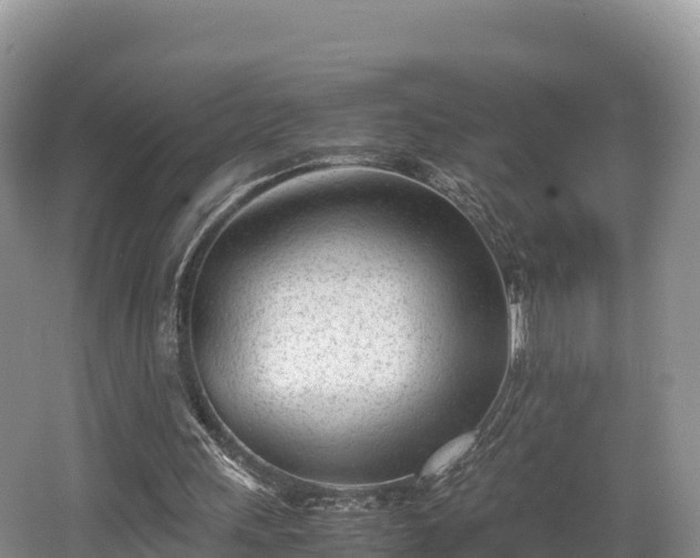 X0000062130243200512121223