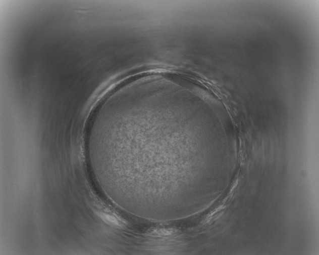 X0000062130247200512121223