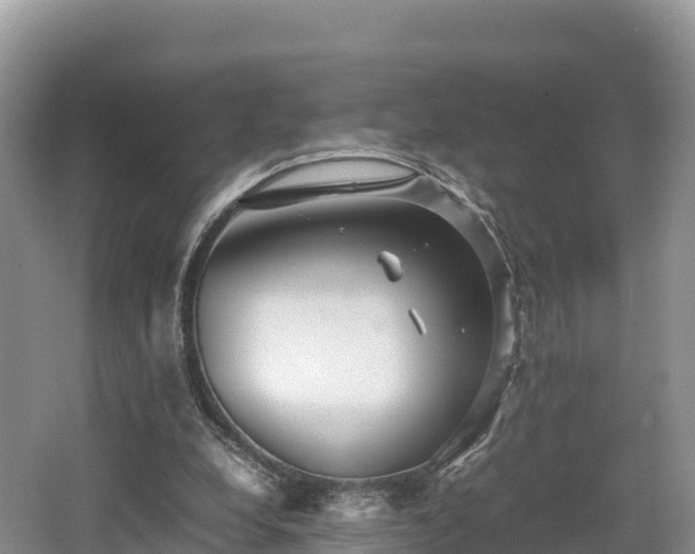 X0000062130248200512121223