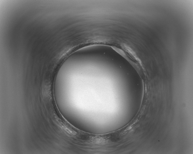 X0000062130249200512121223