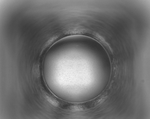 X0000062130250200512121223