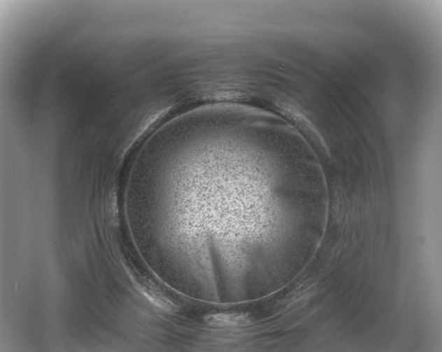 X0000062130251200512121223