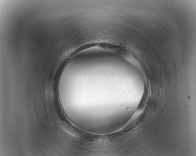 X0000062130252200512121223