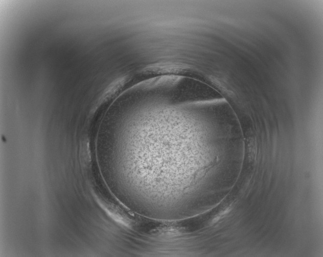 X0000062130254200512121223