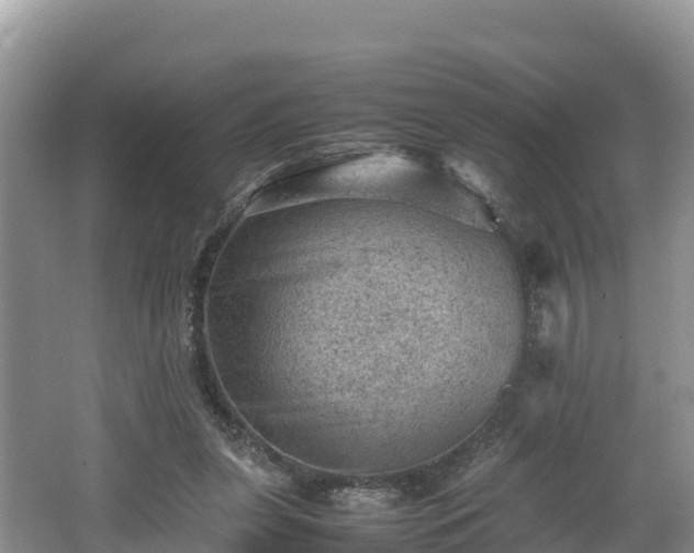 X0000062130255200512121223