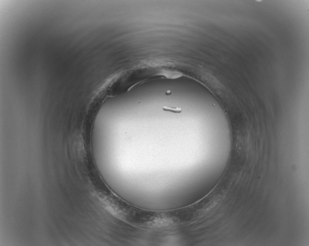 X0000062130256200512121223